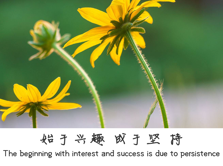 始于兴趣，成于坚持